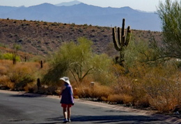 walk in neighborhood 20240806 01 (10 visits) walk in neighborhood 20240806 01