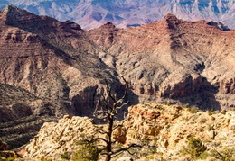 grand canyon south rim 2021 024 (4 visits) grand canyon south rim 2021 024