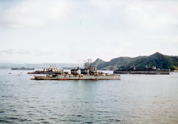 Tom Low 021